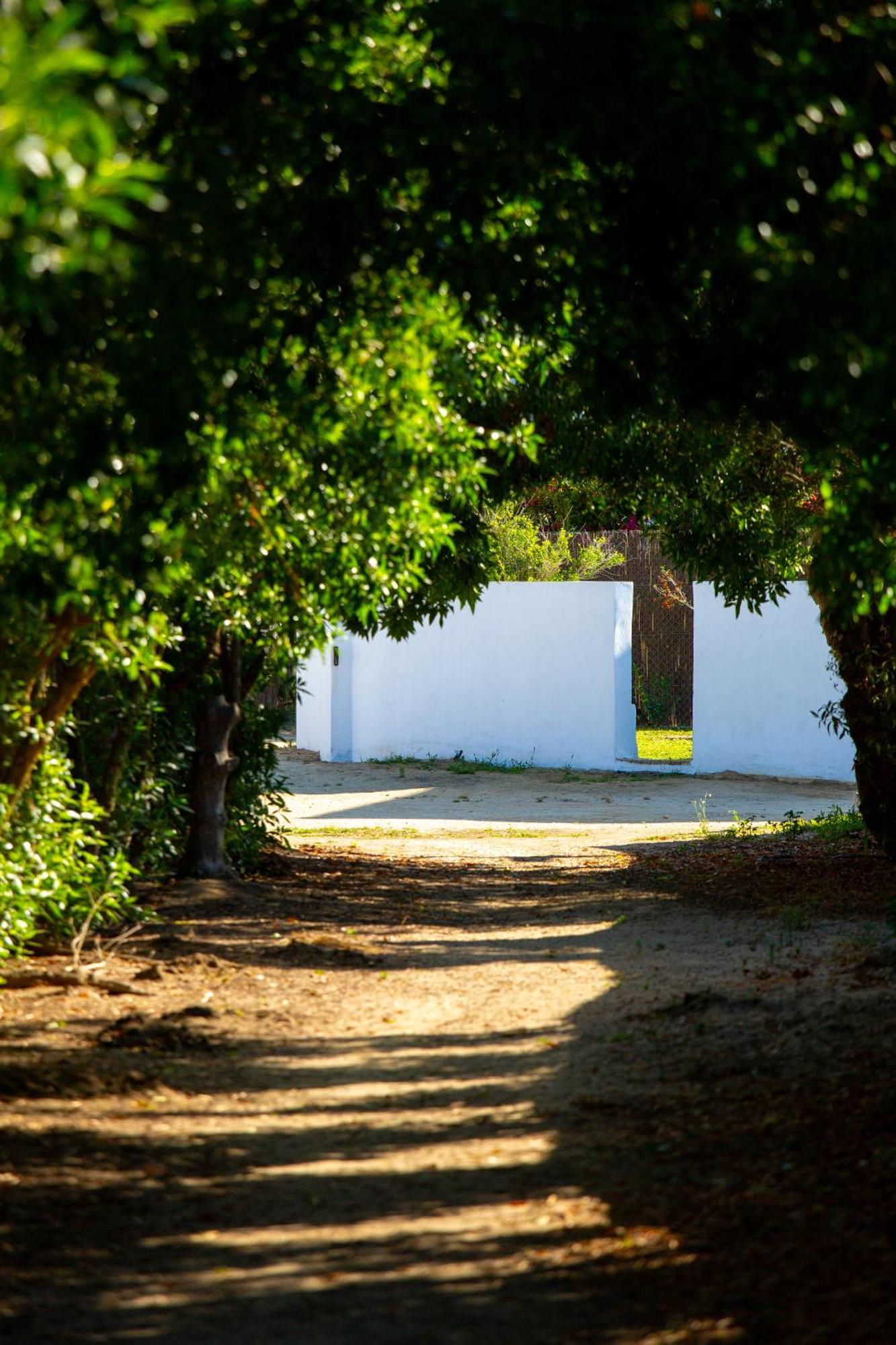 Casara Seis O Casara Siete - Tu Casa A 100M De La Playa De Zahora Pension Buitenkant foto