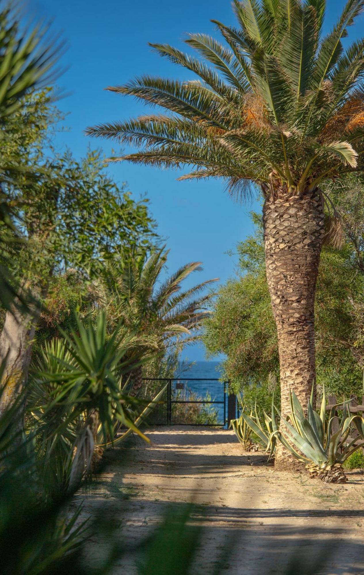 Casara Seis O Casara Siete - Tu Casa A 100M De La Playa De Zahora Pension Buitenkant foto