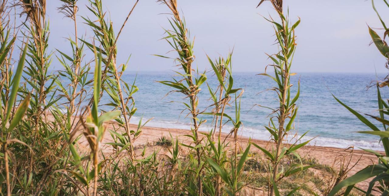 Casara Seis O Casara Siete - Tu Casa A 100M De La Playa De Zahora Pension Buitenkant foto