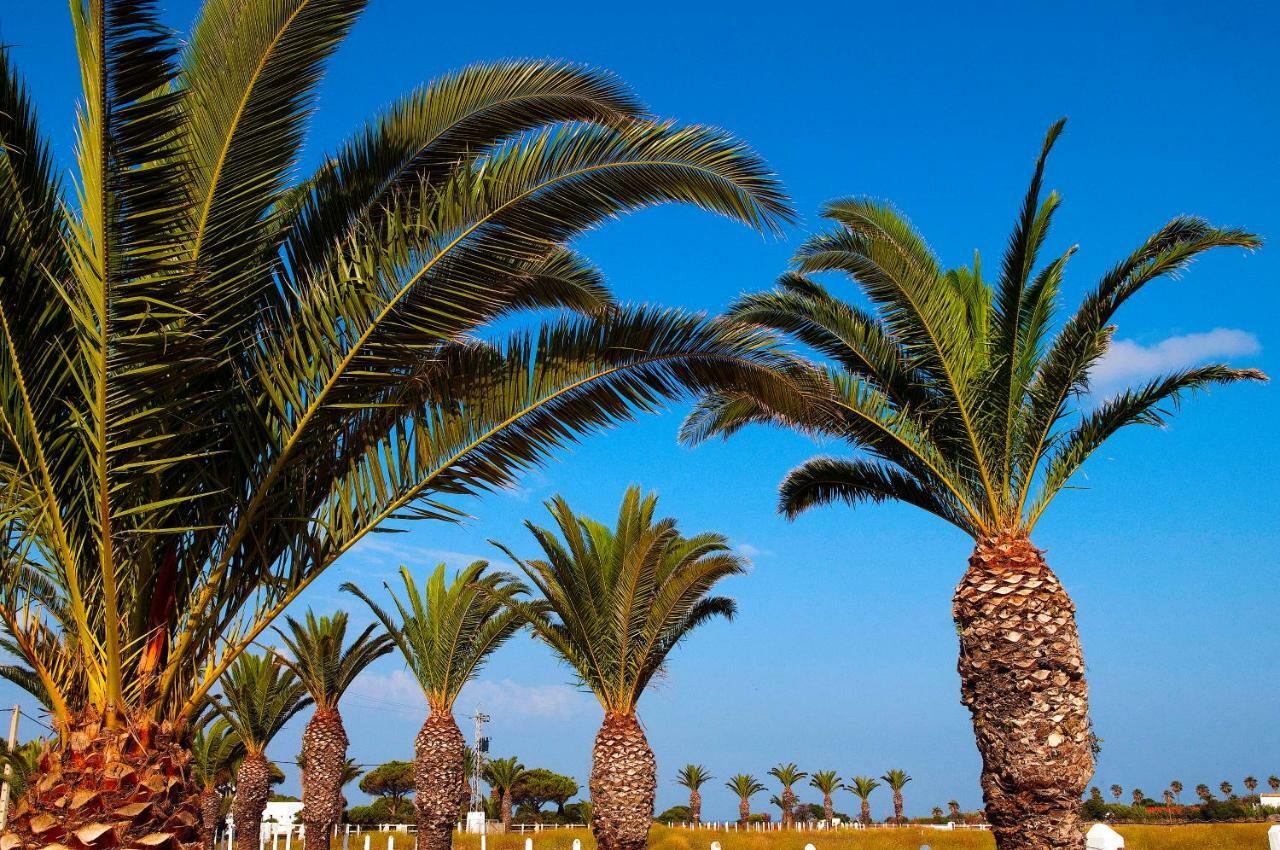 Casara Seis O Casara Siete - Tu Casa A 100M De La Playa De Zahora Pension Buitenkant foto