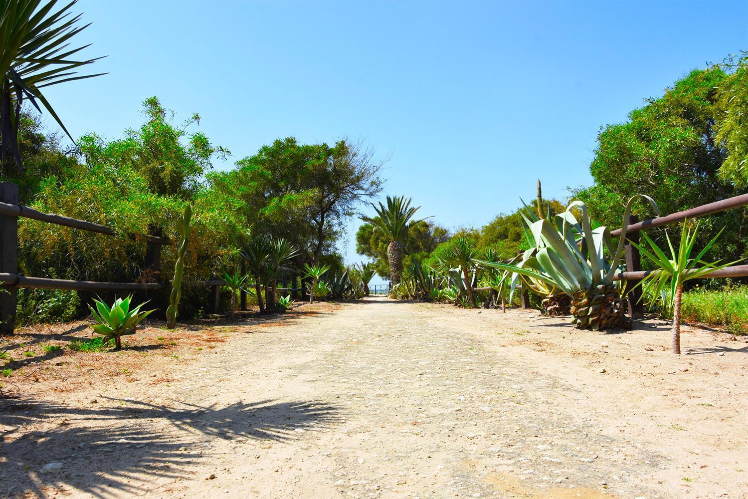 Casara Seis O Casara Siete - Tu Casa A 100M De La Playa De Zahora Pension Buitenkant foto