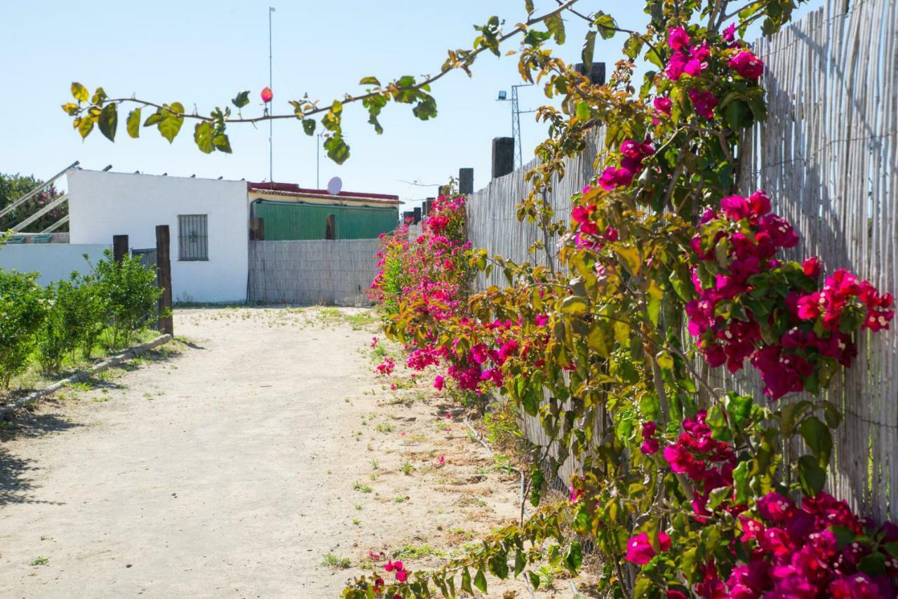 Casara Seis O Casara Siete - Tu Casa A 100M De La Playa De Zahora Pension Buitenkant foto